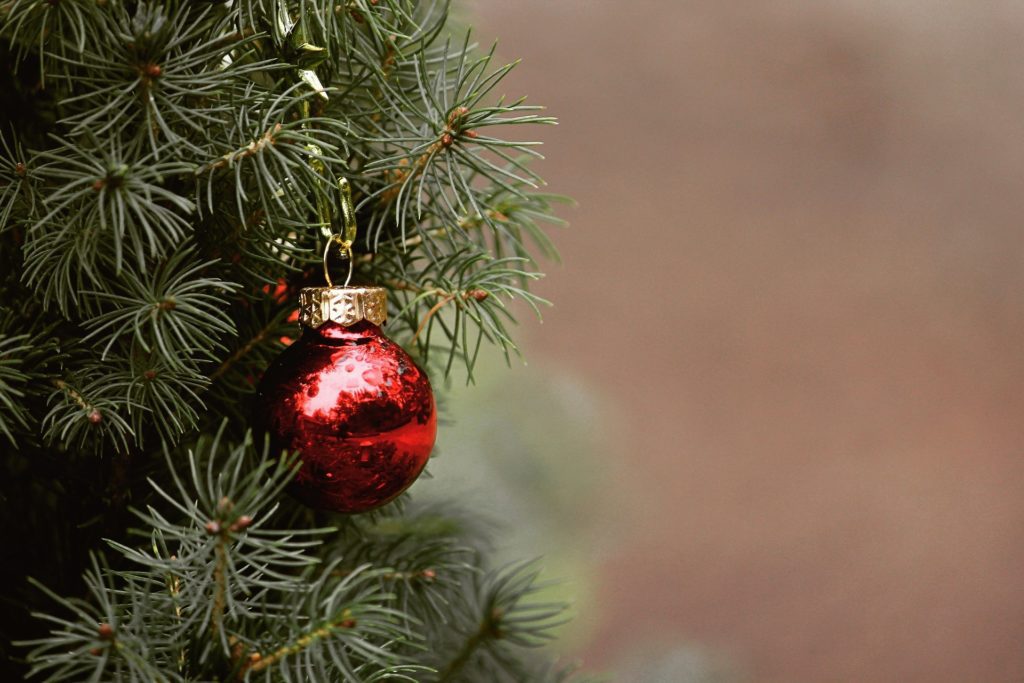 Vánoční stromeček se u nás poprvé objevil počátkem předminulého století, v roce 1812.