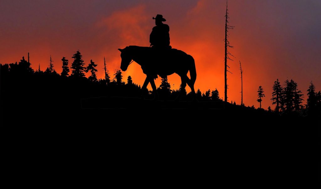 Pony Express byl založen v USA v roce 1860, aby zajistil pravidelné poštovní spojení mezi St. Joseph v Missouri a Sacramentem v Kalifornii.