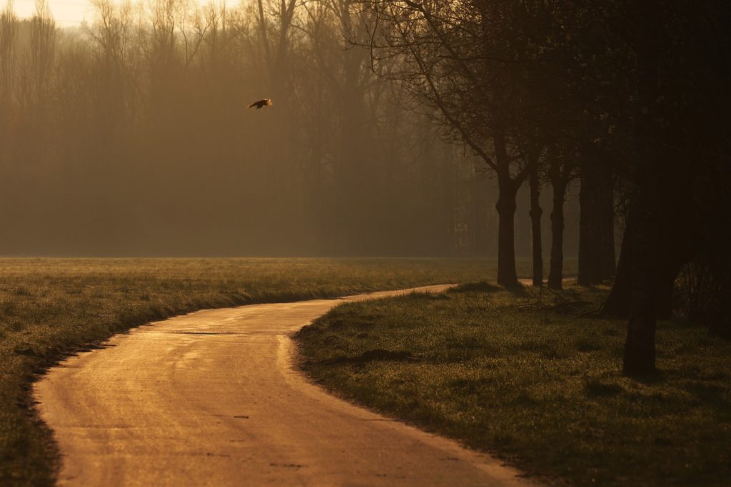 cyklostezka-becva-roznov-3299204