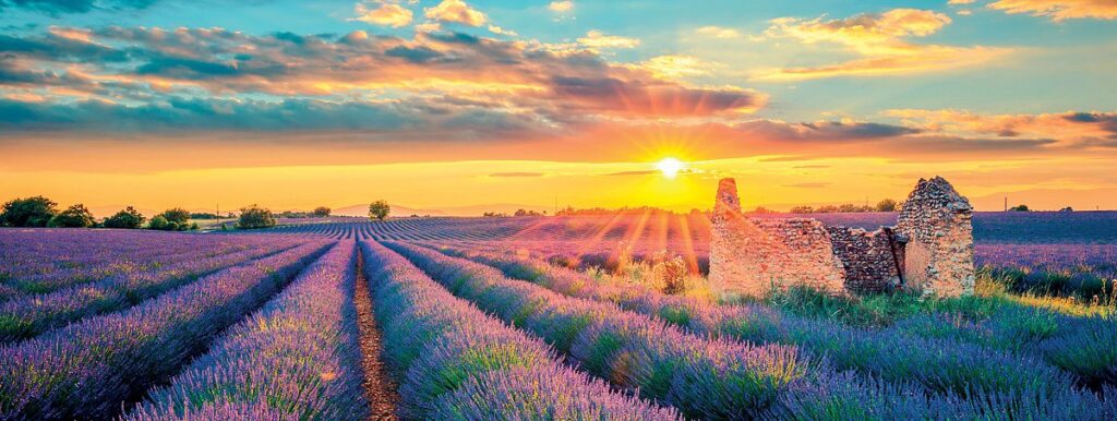 fr-provence-tem26-shutterstock-1040848957-7258636