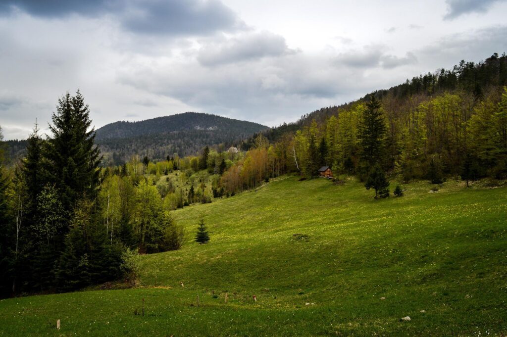 srbsko-tara-1568578