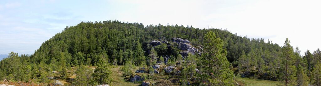 vylety-v-okoli-trondheim panorama bymarka